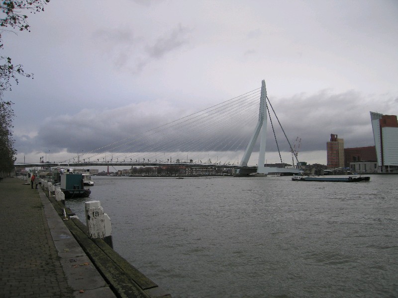 Erasmusbrug Rotterdam
